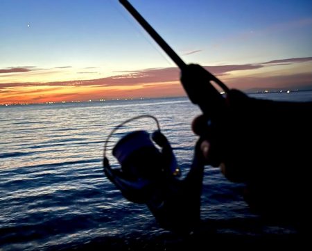 アジングのはずだったんですが、、、