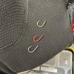 グレ狙いのはずが！？