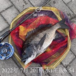 南港ヘチ釣り