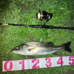 ががっときました。