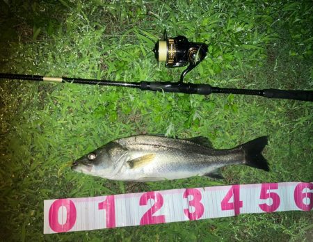 ががっときました。