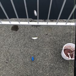 美味しいアジ南蛮が待っている♪