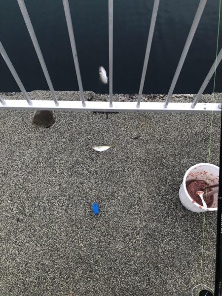 美味しいアジ南蛮が待っている♪