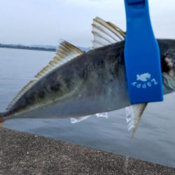 尺のオンパレード