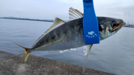 尺のオンパレード