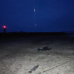 夜釣りでシーバス