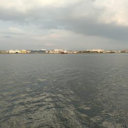 子供とのんびりサビキ