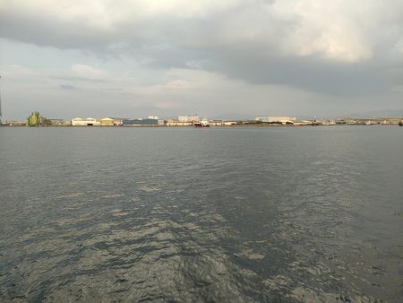 子供とのんびりサビキ