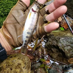 台風に期待するも全く降ってなかった