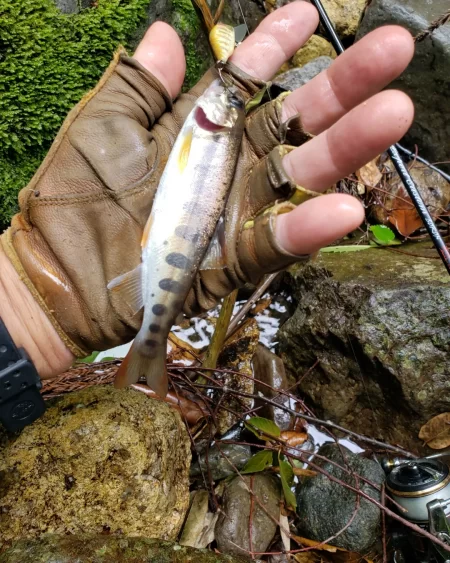 台風に期待するも全く降ってなかった