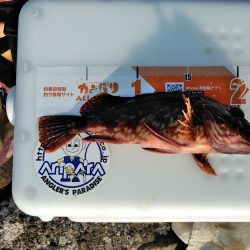 フカセ‥最高ですネ・・