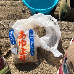 宇曽川コアユ早朝２時間で180匹