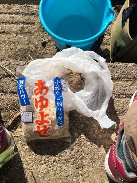 宇曽川コアユ早朝２時間で180匹