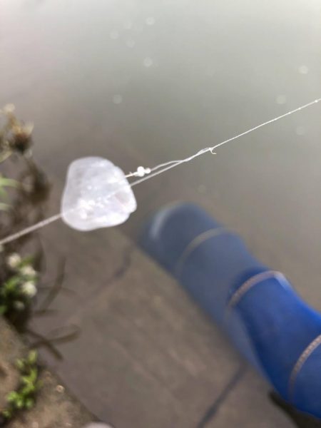 宇曽川濁流で釣果落ちてます