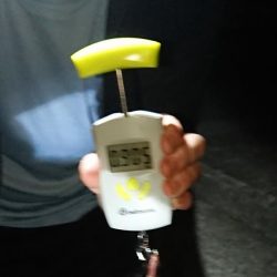 記録更新ならず！