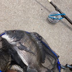 穴釣り&チヌヘチ釣りダブルヘッダー…