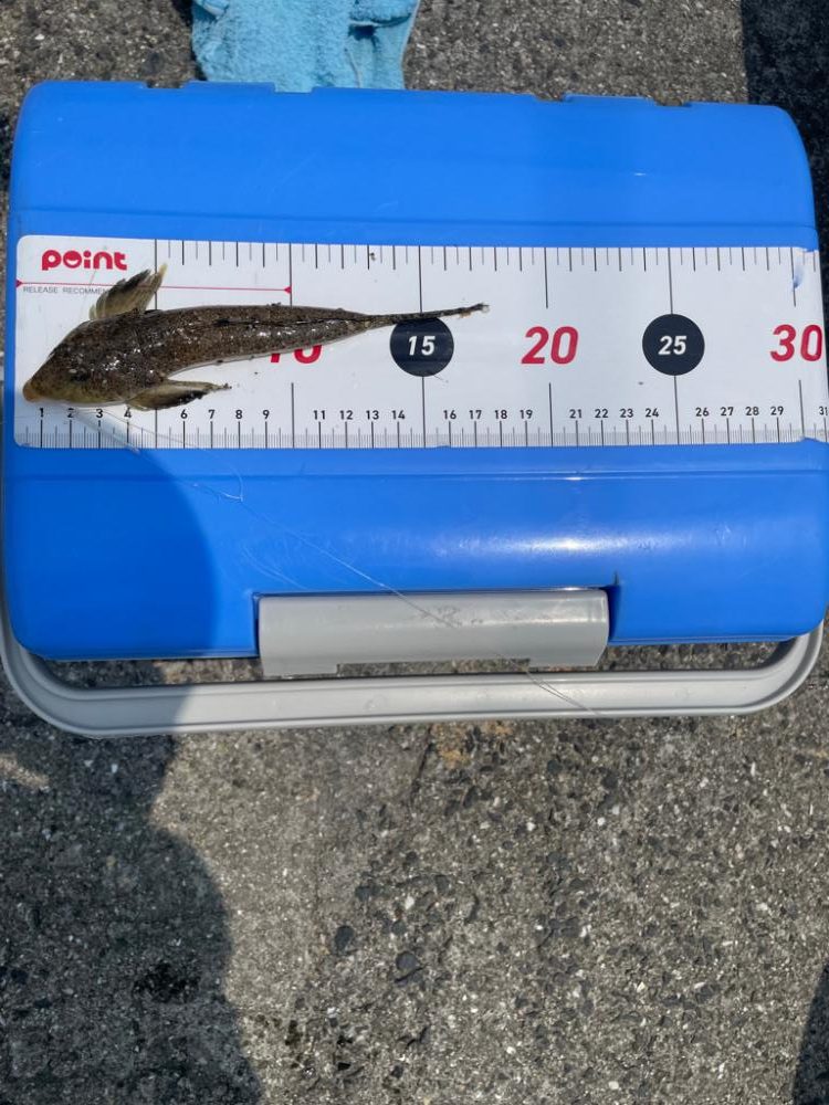 周防大島にて。