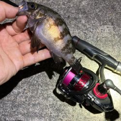 お手軽ライトゲーム