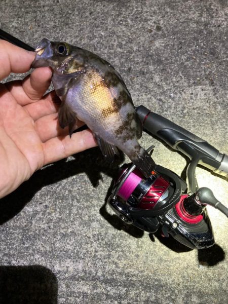 お手軽ライトゲーム