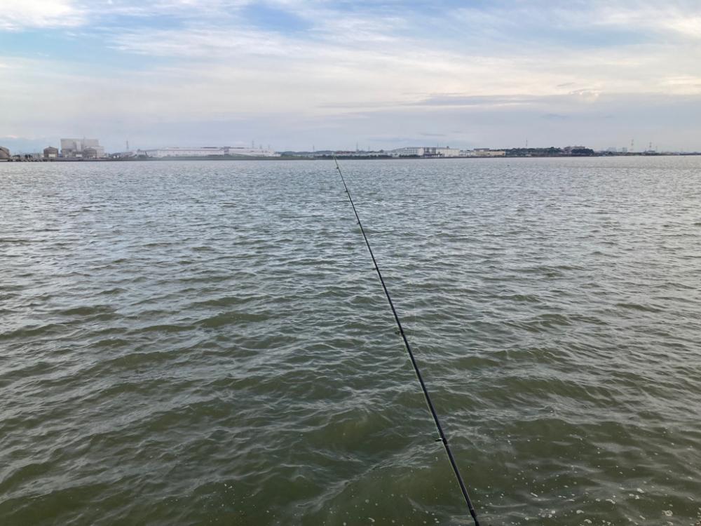 須磨海岸緑地 セイゴ