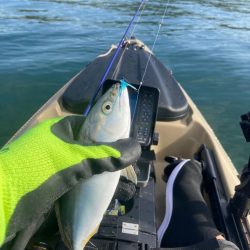 カヤックフィッシング