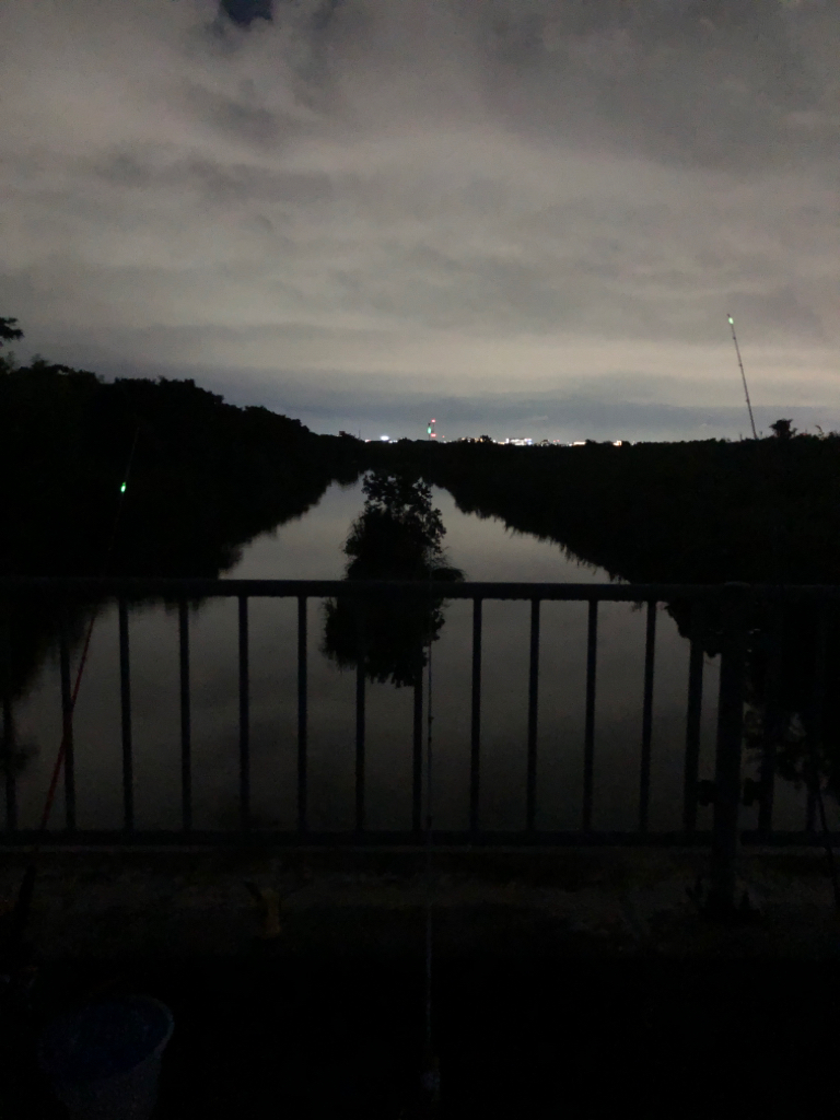 淀川水系でウナギ釣り