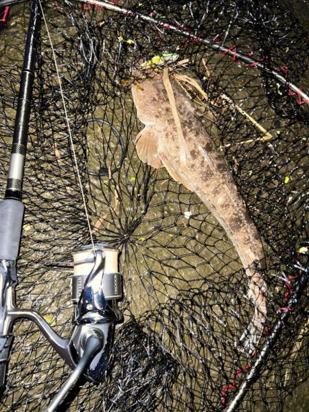 まさかのマゴチ！！