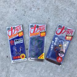 オカッパリライトゲームで5目釣り