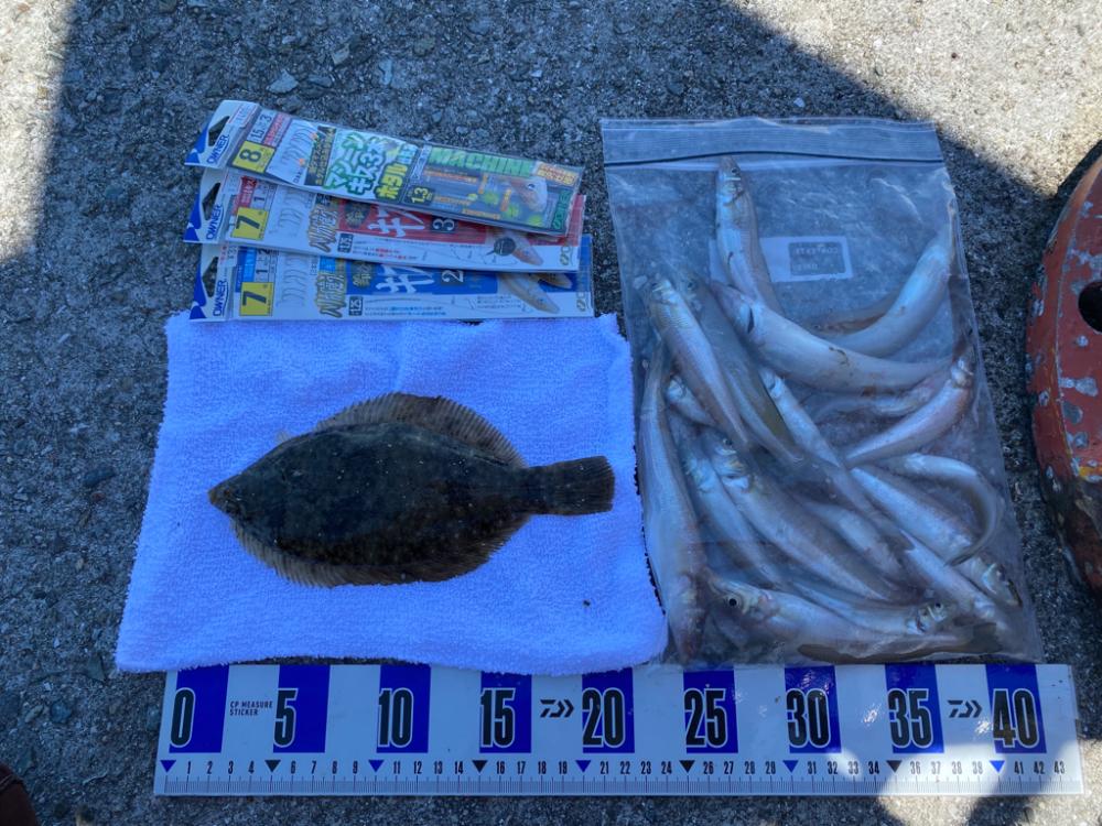 梅雨明け後のキス釣り