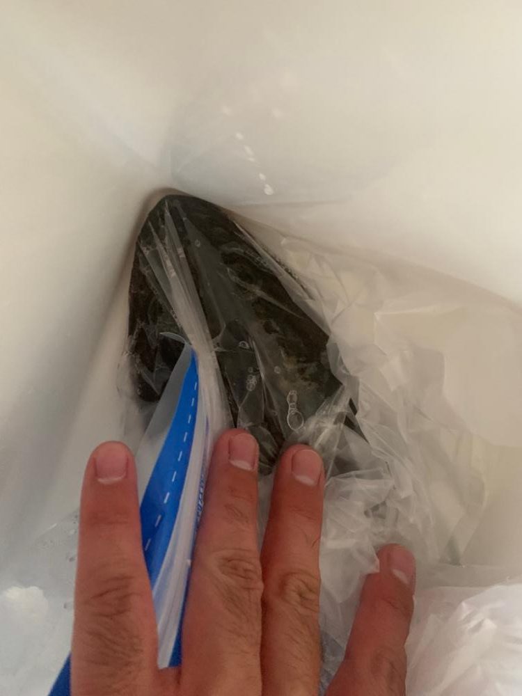 チニング開拓者