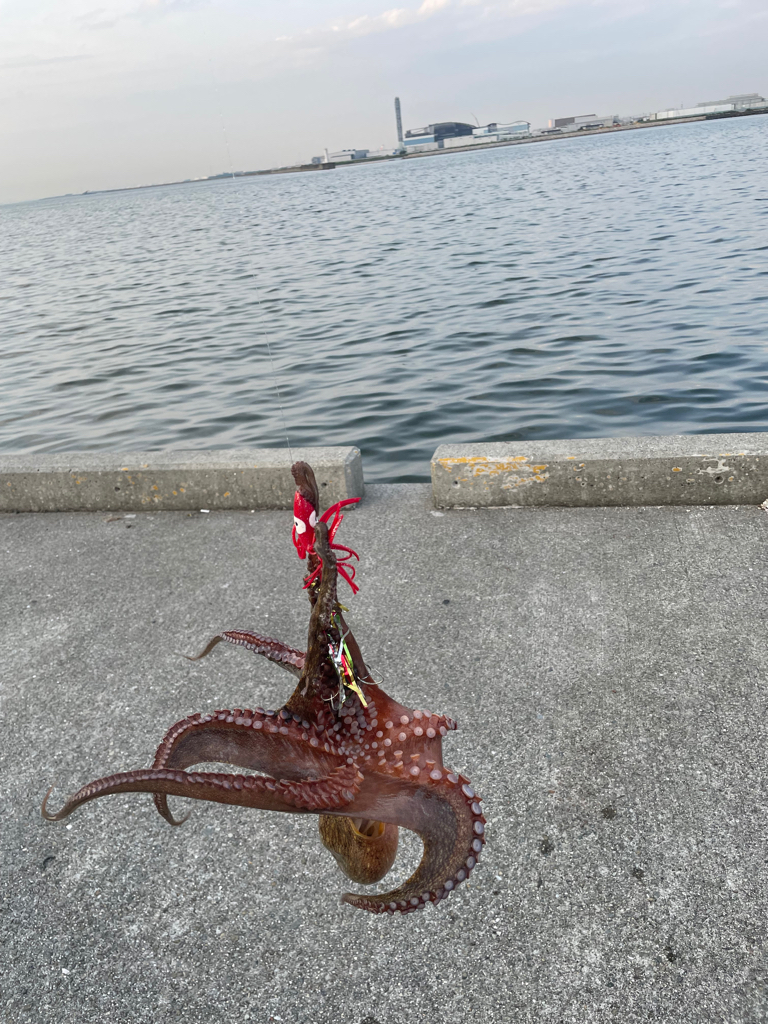 鯖 ！ 鯖！ 鯖！