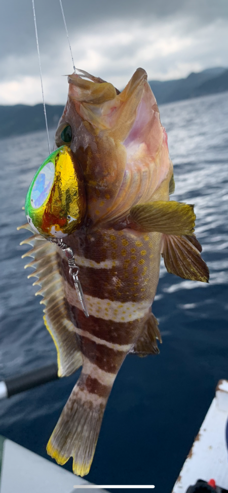 マイボートでアマダイ釣り