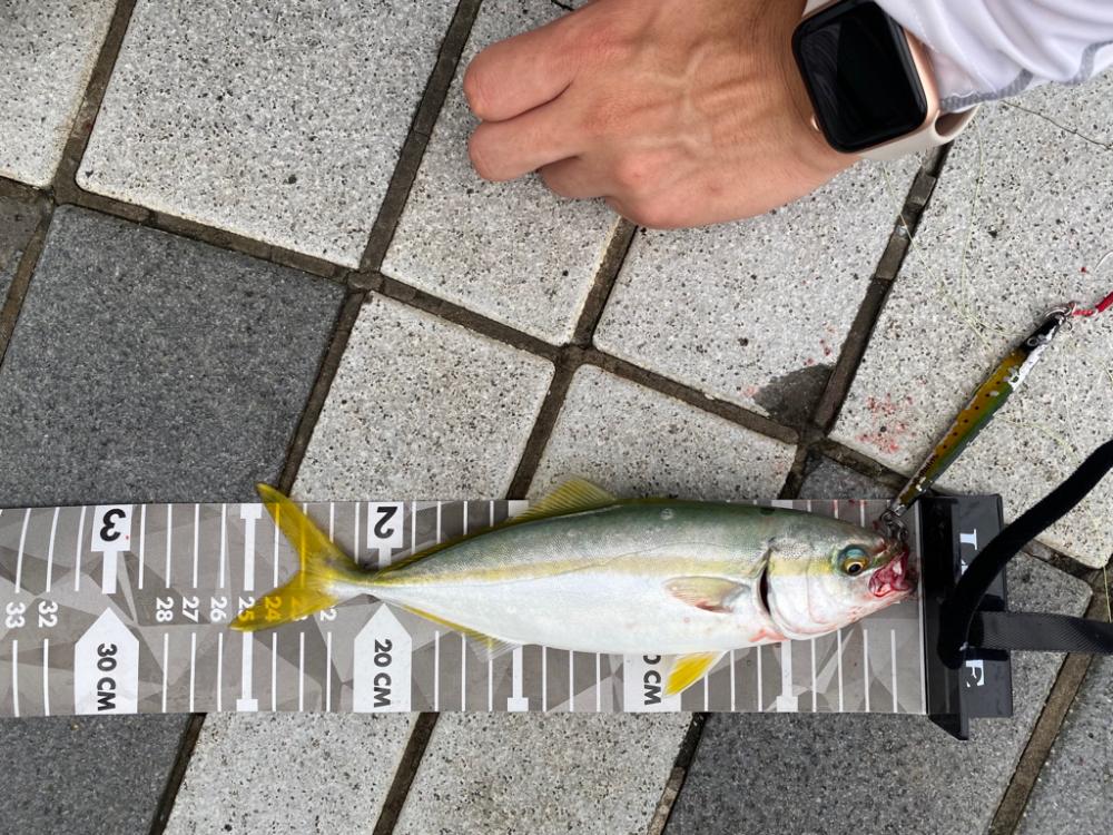 和歌山ショアジギ