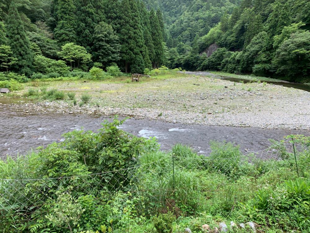 美山5 ささ濁りとどんぶり
