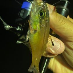 信頼のおけるリーダー