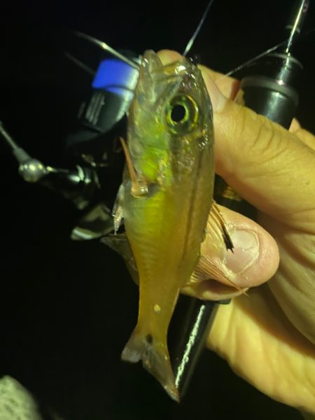 信頼のおけるリーダー