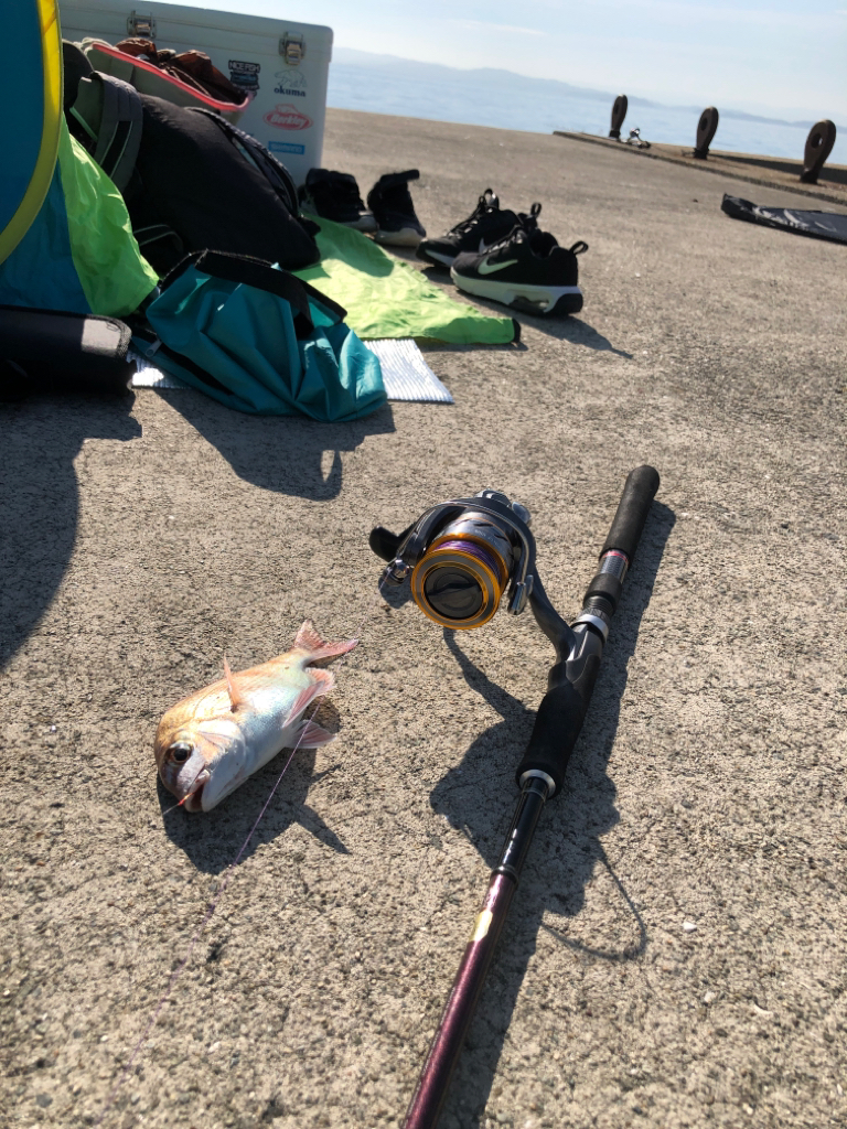 沖堤防で五目釣り