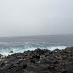 沖磯イサキゲーム