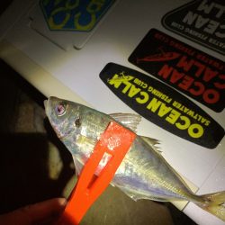 フロートアジング