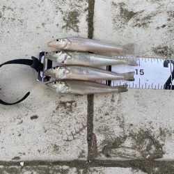 キスは何処へ、、、