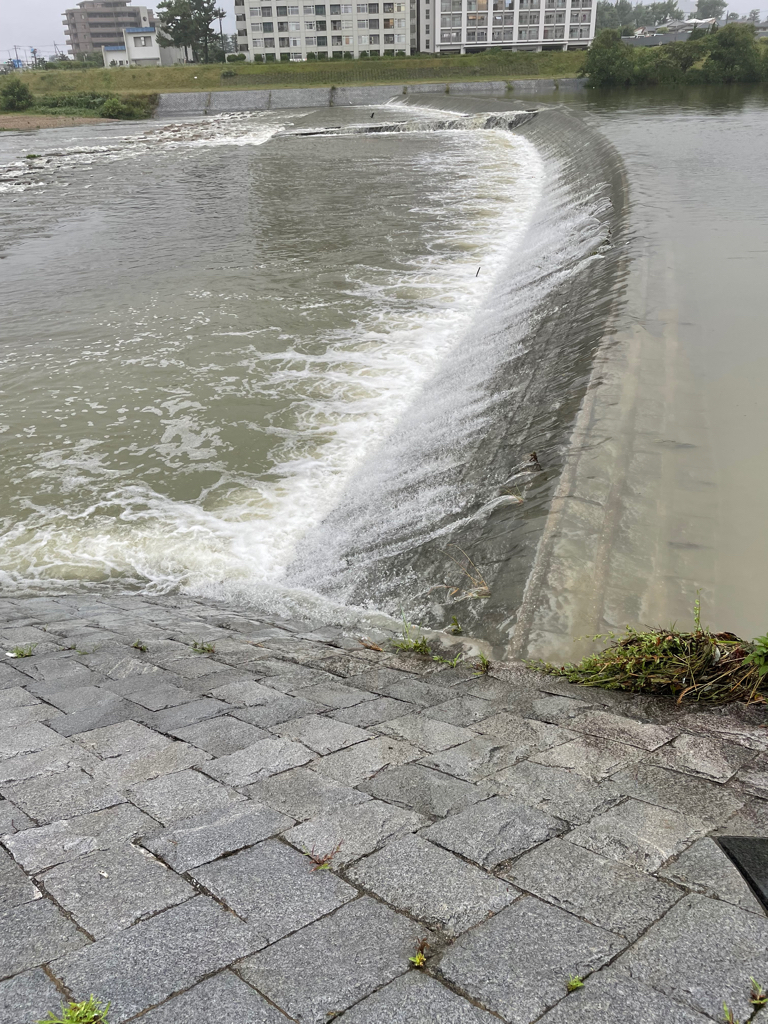 早朝からデイナマ