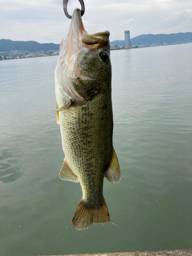 全開放流の琵琶湖