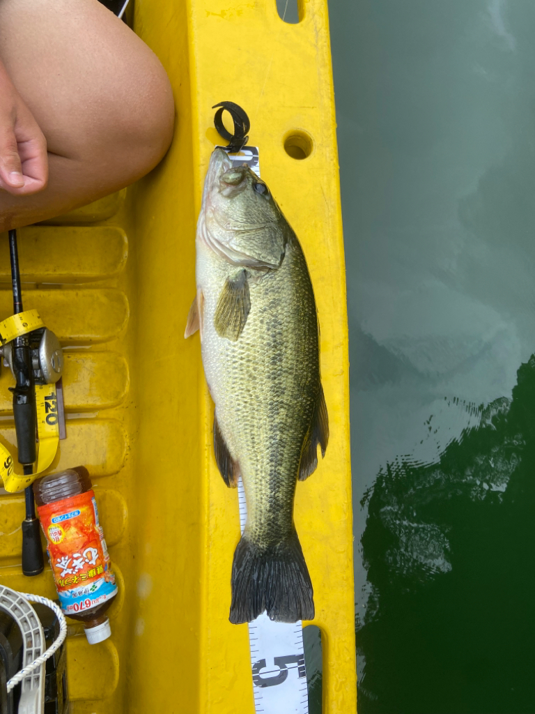 正木ダムへミニボート釣行