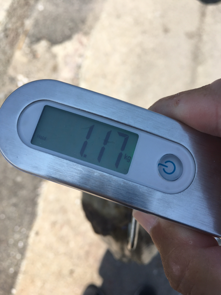 【タコフィネス】キロアップ＆タコエギロストゼロで連続74杯