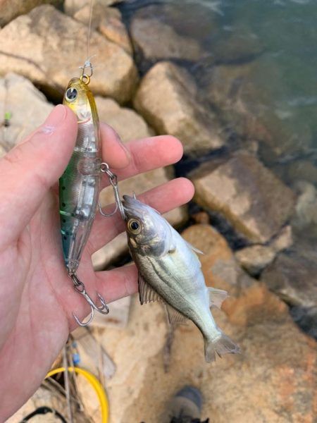 ちいかわせいごまつり