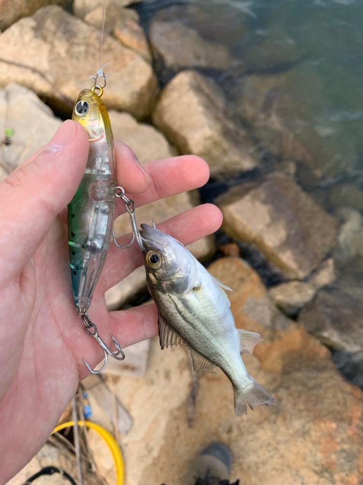 ちいかわせいごまつり