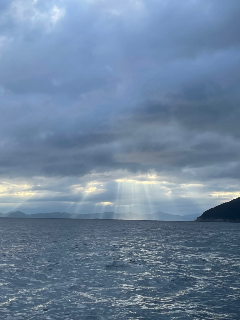 マイボートで昼間のイカメタルのはずが・・・