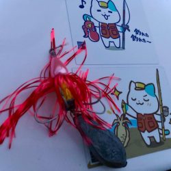 ラバだまを落とすだけでタコが釣れるにゃー！