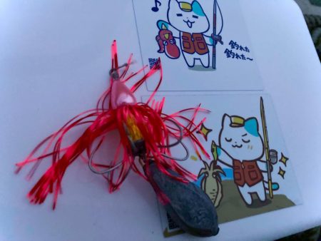 ラバだまを落とすだけでタコが釣れるにゃー！