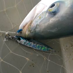 ジグパラでジギング！